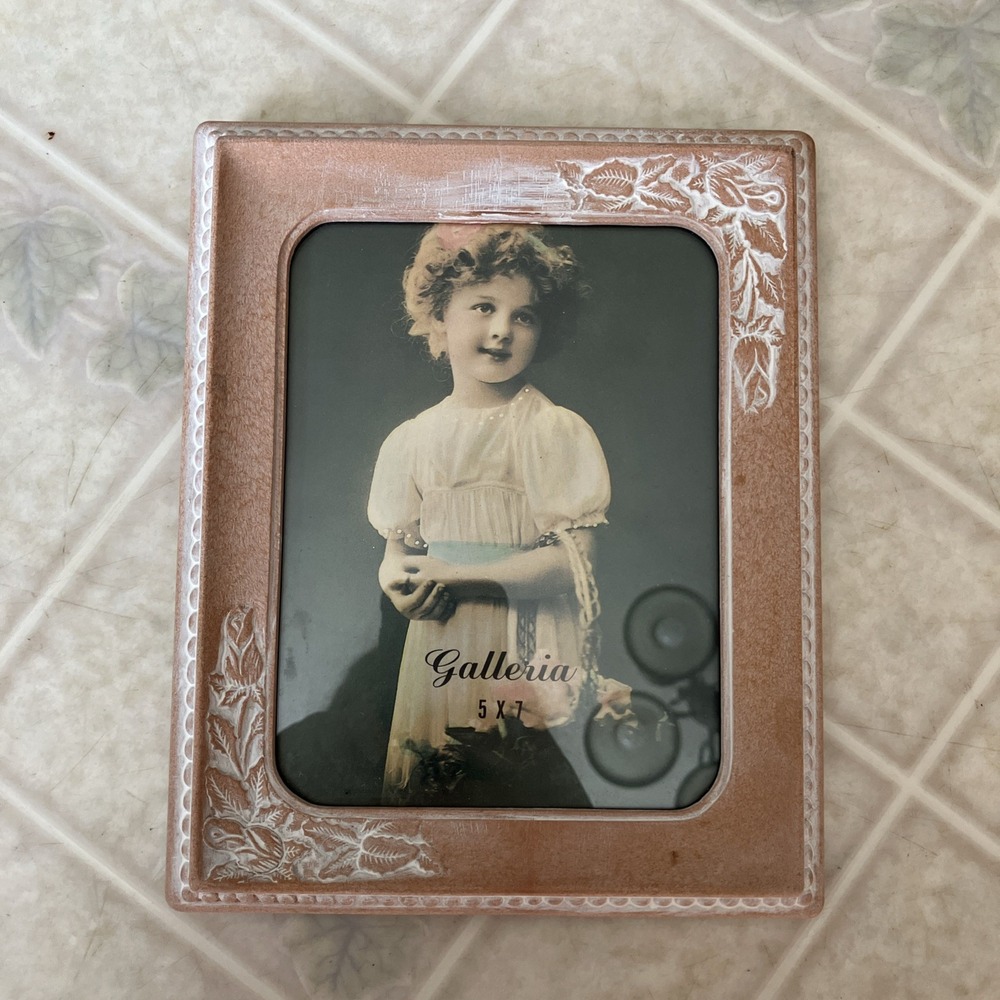 Frame Holds 5x7 Picture Distressed Victorian Clay-look Floral Rose Pink Galleria